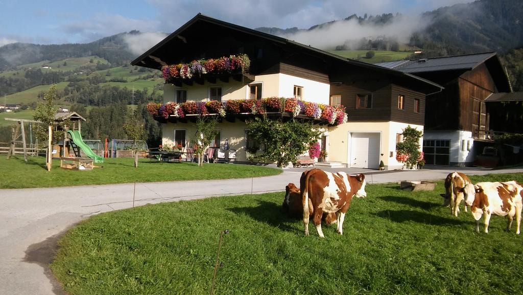 Rieserhof/Fam. Meissnitzer Taxenbach Ngoại thất bức ảnh