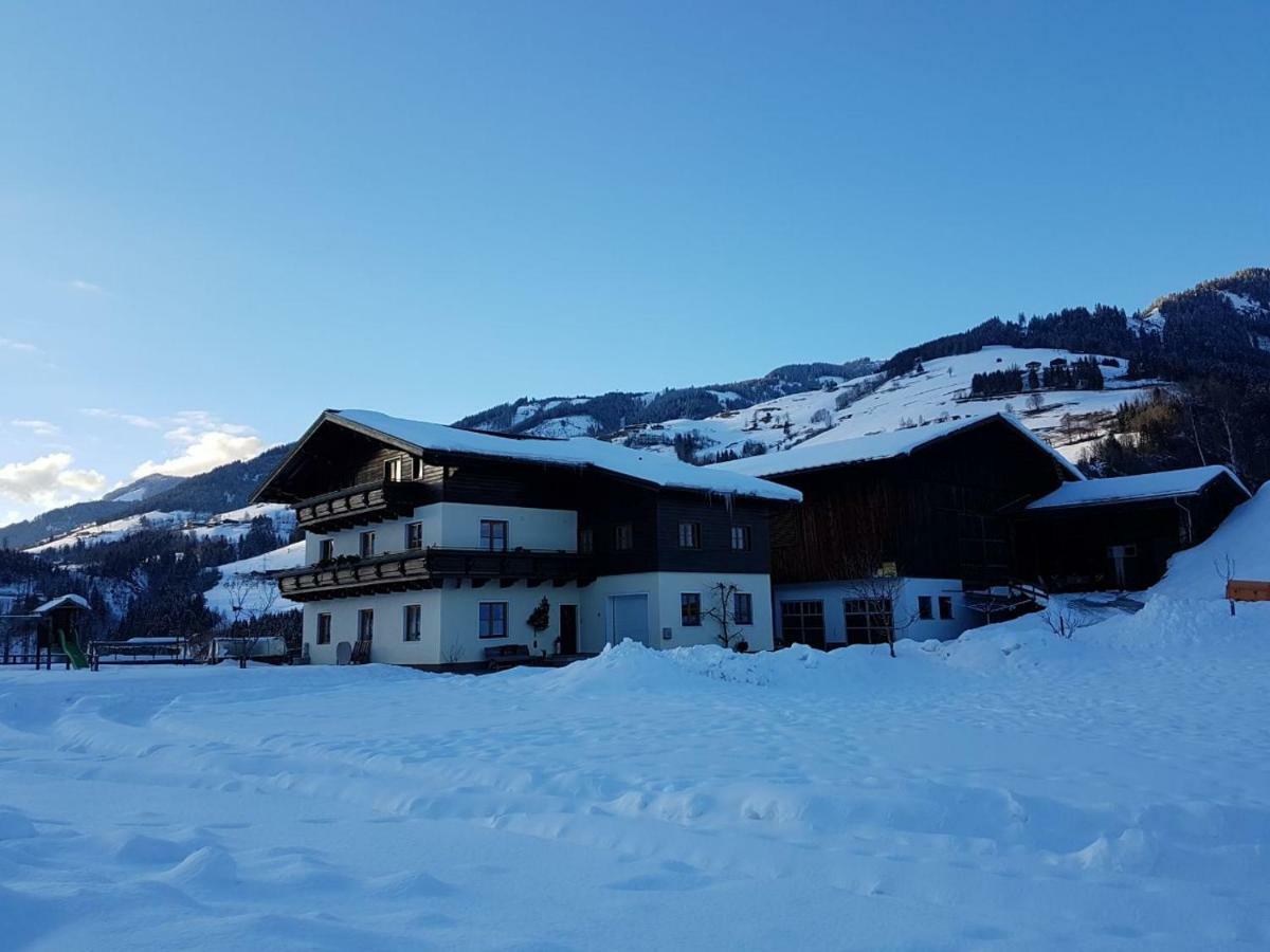 Rieserhof/Fam. Meissnitzer Taxenbach Ngoại thất bức ảnh